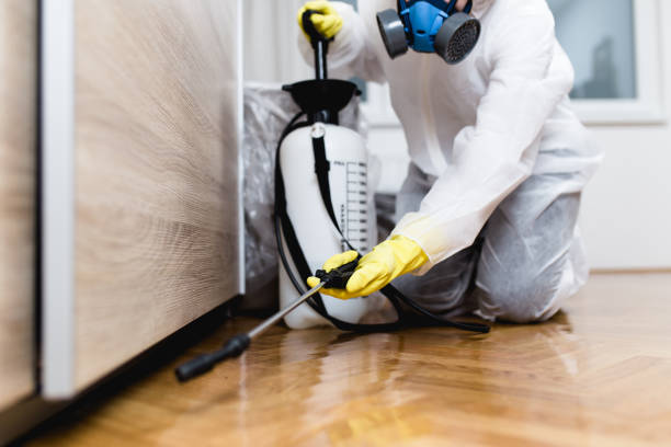 Best Pest Removal Services  in Seabrook Island, SC