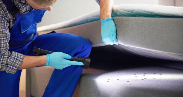 Best Emergency Pest Control  in Seabrook Island, SC